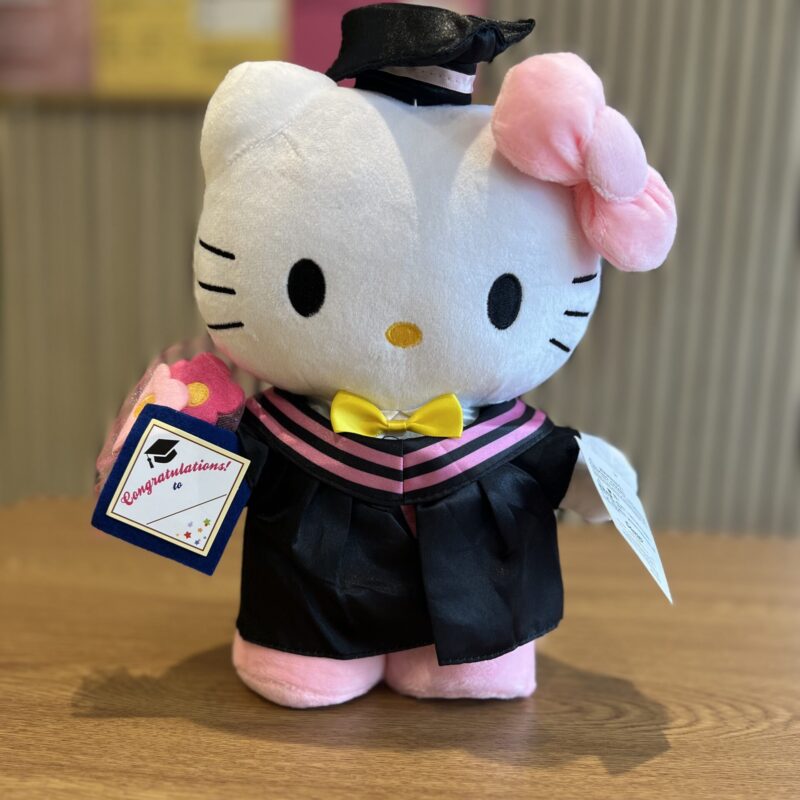 Graduation Hello Kitty Plush - Plushie